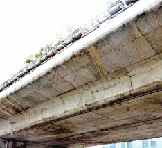 福州市高架桥垂直绿化