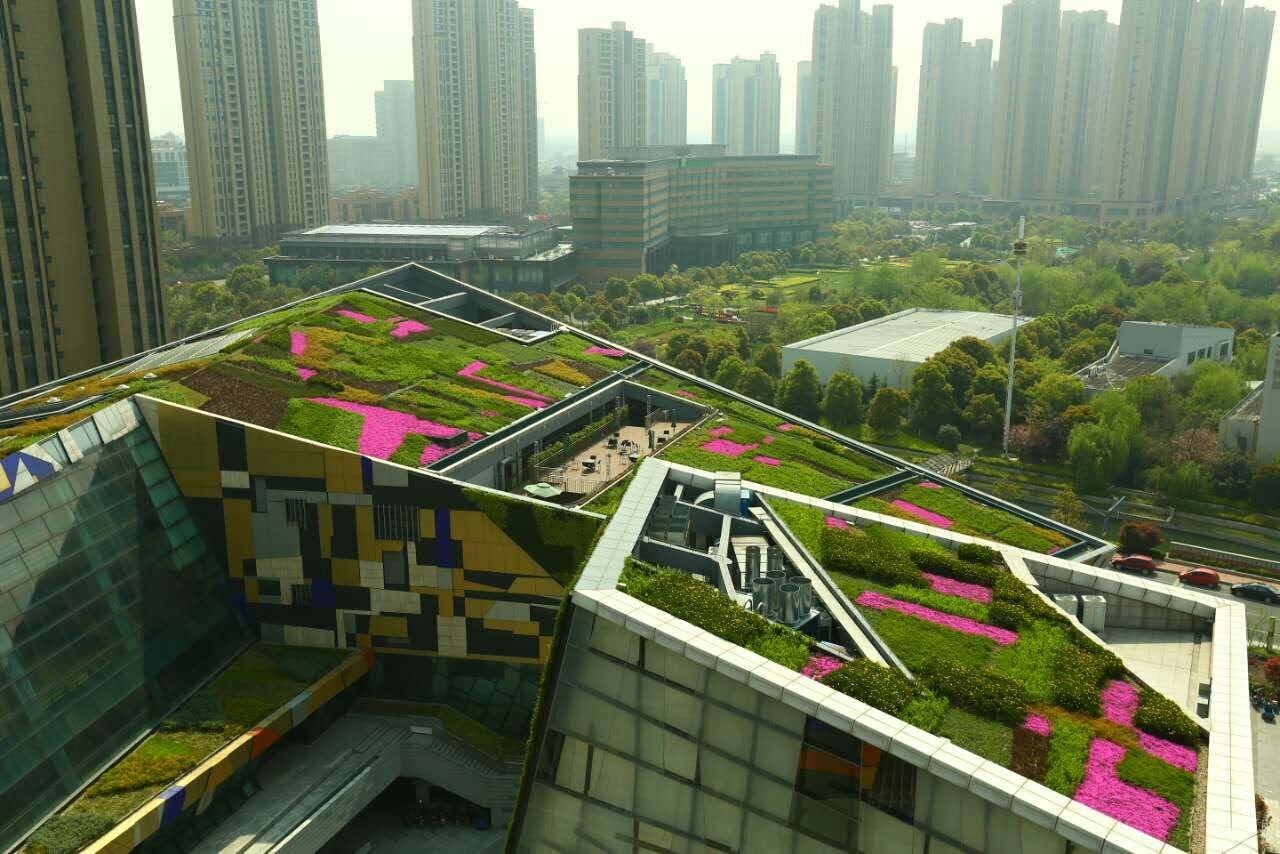 屋顶花园||空间|景观设计|Z87393681 - 原创作品 - 站酷 (ZCOOL)