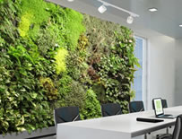 墙面绿化系统产品